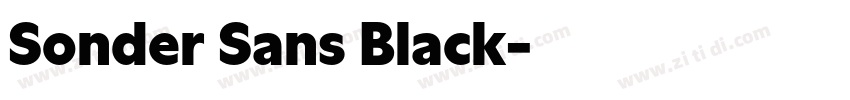 Sonder Sans Black字体转换